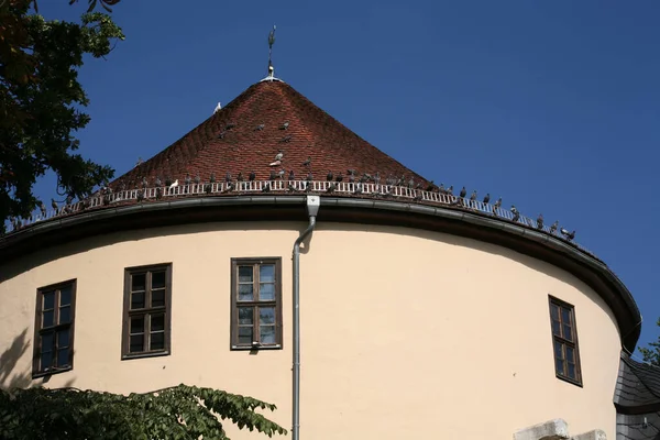 Cette Tour Qui Faisait Autrefois Partie Des Fortifications Ville Weimar — Photo