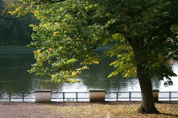 Schöne Aussicht Auf Die Natur — Stockfoto