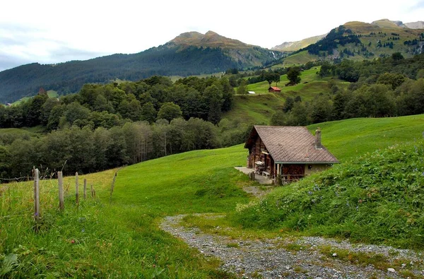 Berglandschap Met Groen Gras Houten Hut — Stockfoto