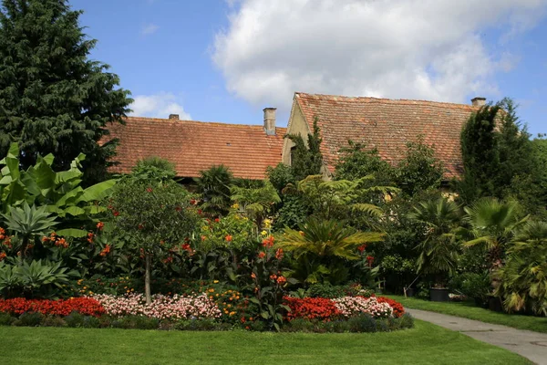 Palmträdgård Och Blomsterträdgård — Stockfoto