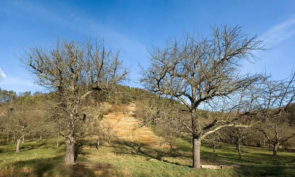 Prachtig Uitzicht Het Natuurlandschap — Stockfoto