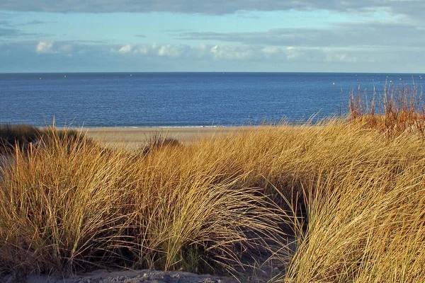 Dune Gräs Och Hav — Stockfoto