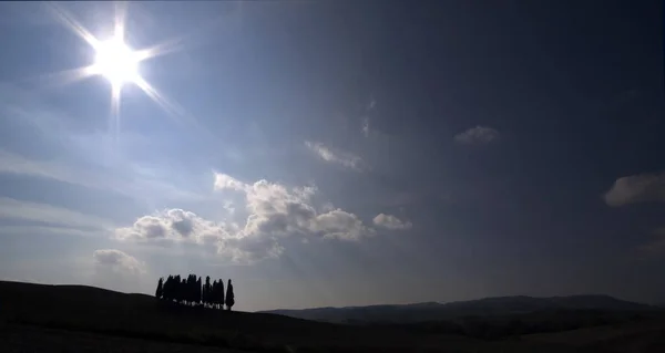 Acabo Tratar Hacer Que Este Grupo Árboles Turísticos Toscana Apareciera —  Fotos de Stock