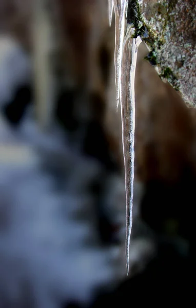 Een Ijspegel Een Punt Bestaande Uit Bevroren Water Dat Niet — Stockfoto