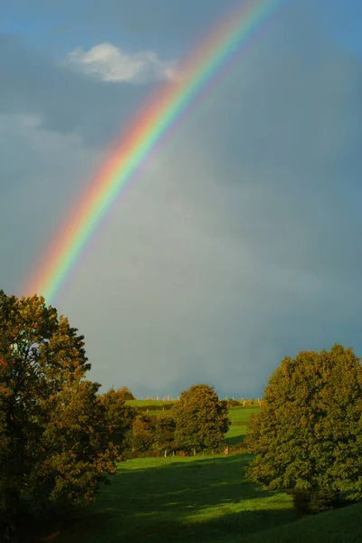 Bella Vista Sulla Natura — Foto Stock