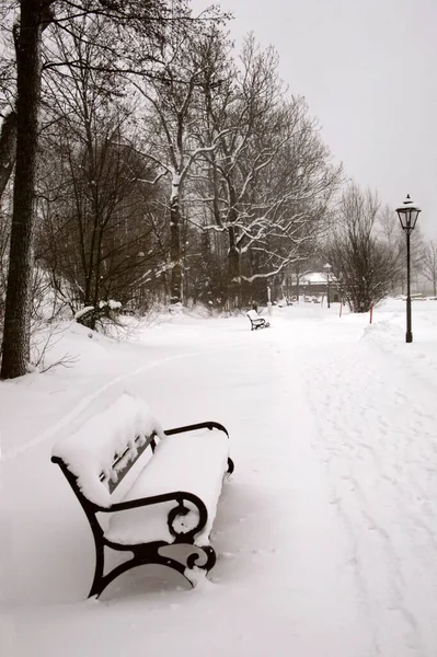 Vista Uma Cena Inverno — Fotografia de Stock