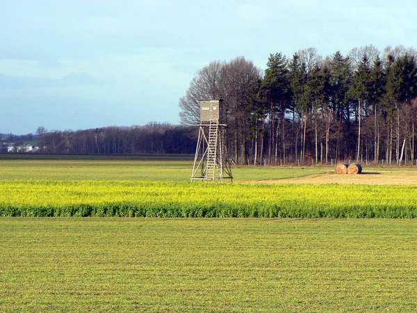 Posición Del Cazador Campo — Foto de Stock