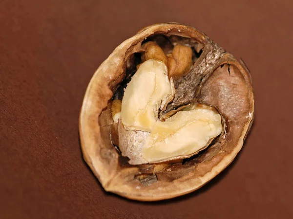 Hnědé Ořechy Vlašské Ořechy Občerstvení — Stock fotografie