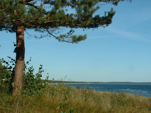 Sandy Coast Lake — Stock Photo, Image