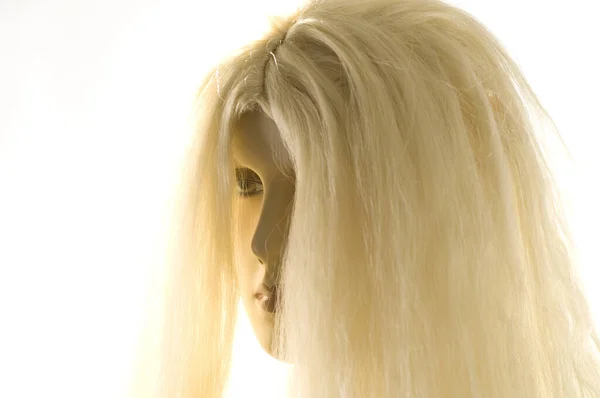 Portrait Une Belle Femme Blonde Aux Cheveux Longs — Photo