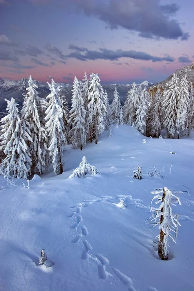 Pohled Alpy Nejvyšší Nejrozsáhlejší Hory — Stock fotografie