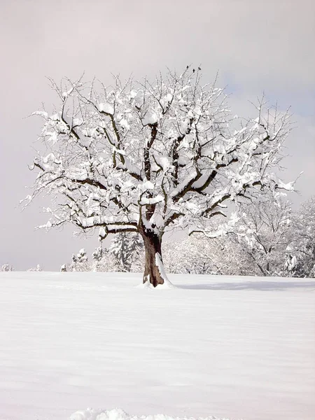 Kleurrijke Achtergrond Voor Kerst Nieuwjaar Vakantie Kaart — Stockfoto