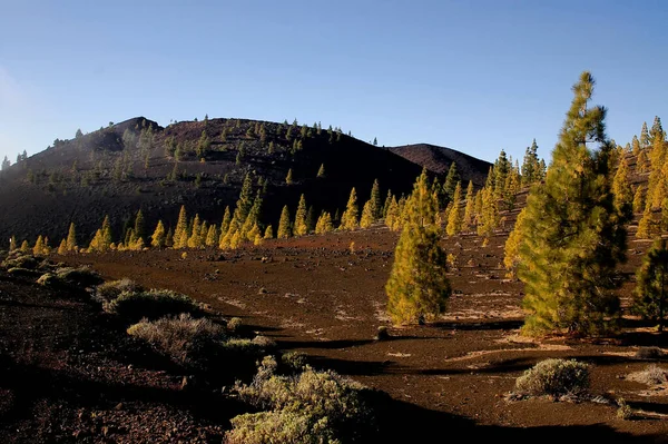 西班牙加那利群岛Tenerife的Teide山 — 图库照片