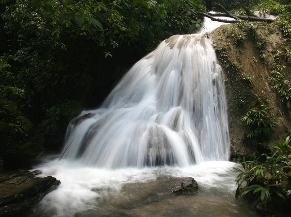 Bella Vista Della Scena Della Natura — Foto Stock