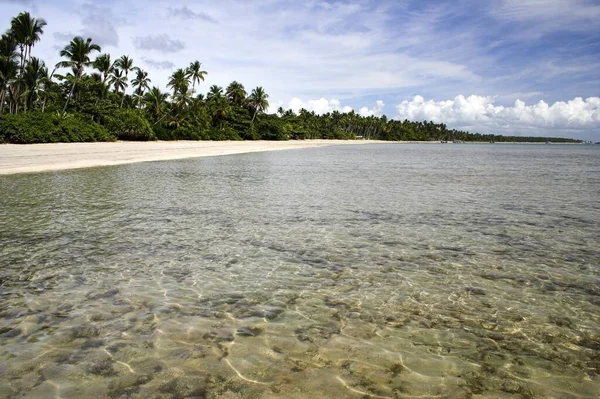 Spiaggia Tropicale Con Palme Cielo Blu — Foto Stock