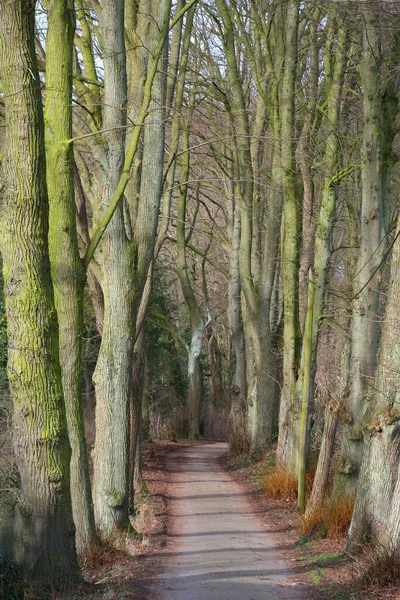 Přírodní Rezervace Chráněná Oblast Významem Pro Flóru Faunu Nebo Rysy — Stock fotografie