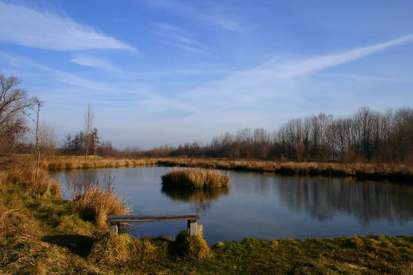 Piękny Widok Scenę Natury — Zdjęcie stockowe