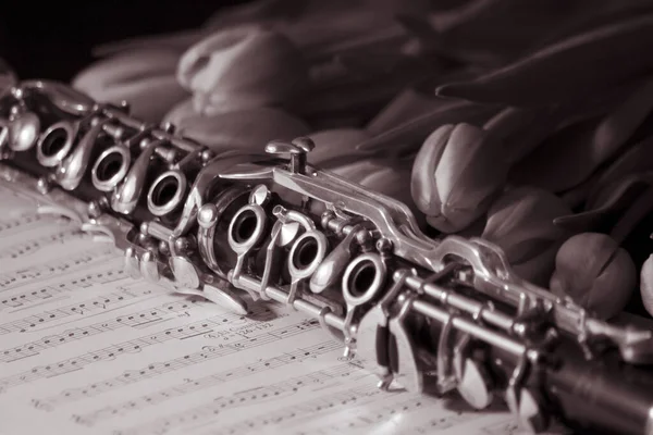 Clarinete Com Tulipas Sefia — Fotografia de Stock