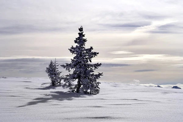 Scenic View Winter Landscape — Stock Photo, Image
