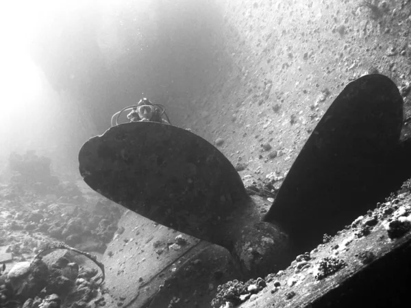 Foto Blanco Negro Del Buceador Bajo Agua — Foto de Stock