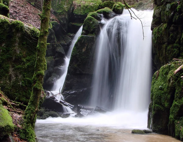 Nature Photo Environment Outdoor — Stock Photo, Image