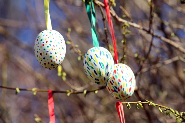 stock image Shrub with Easter eggs