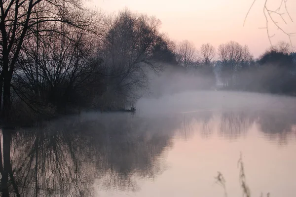 Gryning Vid Dammen — Stockfoto