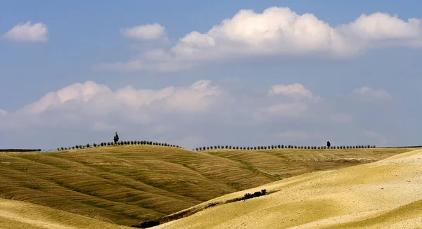 Uitzicht Heuvels Van Toscane Italië — Stockfoto