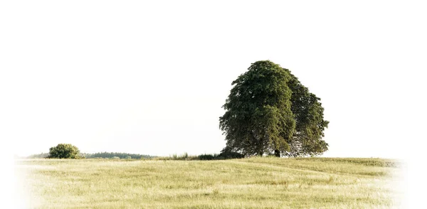 Pittoresk Uitzicht Landschap — Stockfoto