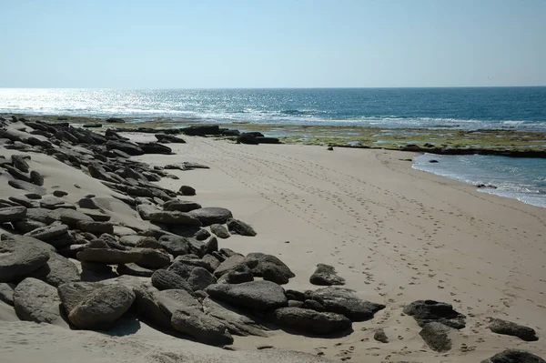 Sporen Het Zand — Stockfoto