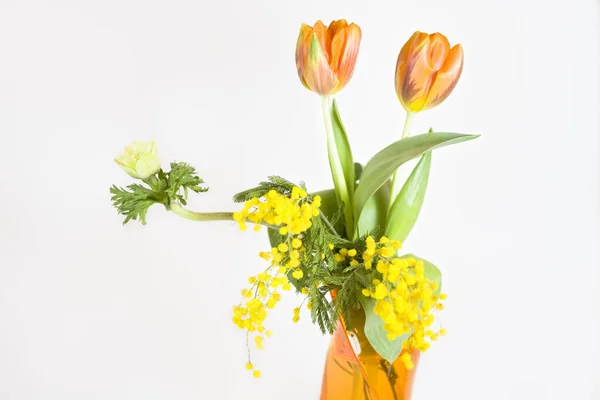 Beautiful Tulips Spring Flowers — Stock Photo, Image