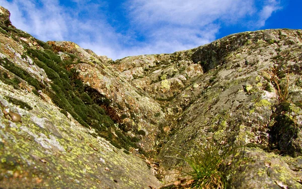 Unfortunately Only Small Rock Swedish Nature — Stock Photo, Image