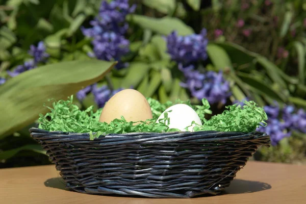 Œufs Pâques Dans Panier — Photo