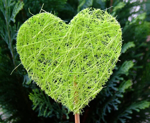 Kleurrijke Achtergrond Voor Valentijnskaart — Stockfoto