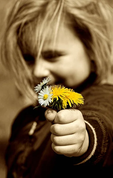 Girl Flowers Her Hands — Stock Photo, Image