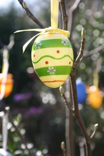 Easter Eggs Hanging Tree — Stock Photo, Image