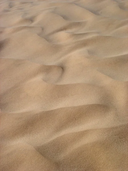 サハラ砂漠の砂構造物 — ストック写真