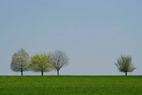 Prachtig Uitzicht Natuur — Stockfoto