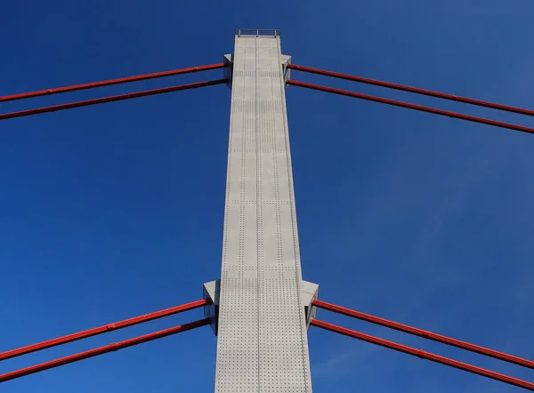 Des Porteurs Pont Rhin Leverkusen — Photo