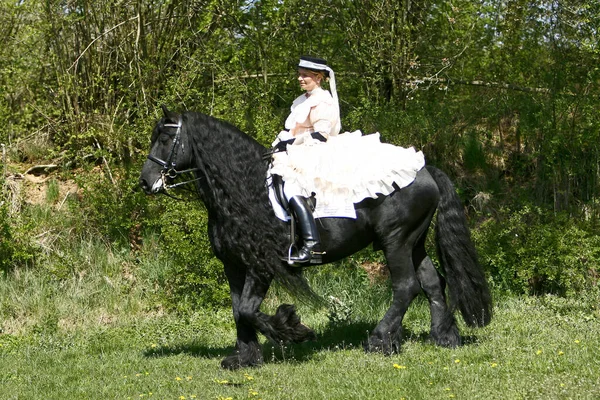 Cavalo Cavaleiro Durante Aulas Condução — Fotografia de Stock