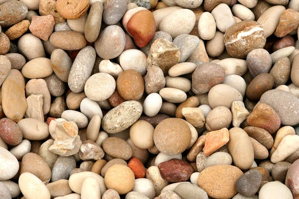 Pedras Pedras Seixos Fundo Rochoso — Fotografia de Stock