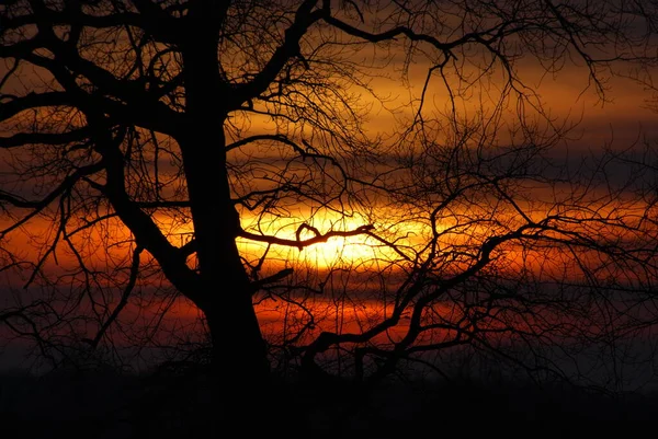 Beautiful View Warm Evening — Stock Photo, Image