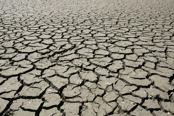 Vecchio Suolo Incrinato Nel Deserto — Foto Stock