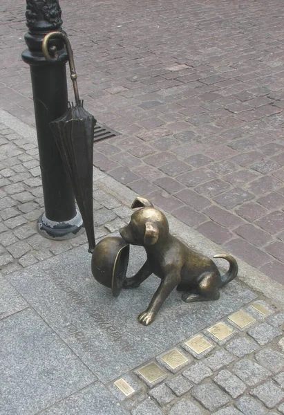 Hond Met Hoed Parasol Bronzen Sculptuur Straat Het Oude Centrum — Stockfoto