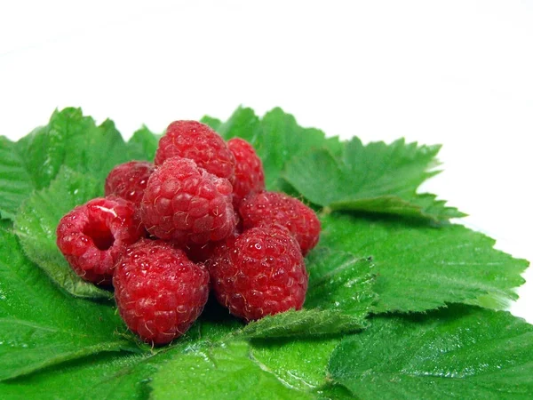 Beeren Nahaufnahme Gesundes Ernährungskonzept — Stockfoto