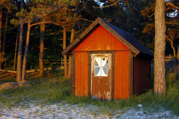 Wooden House Forest — Stock Photo, Image