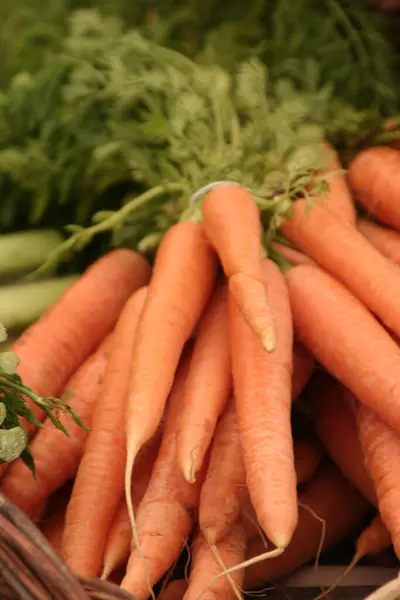 Carrots Basket — Stock Photo, Image