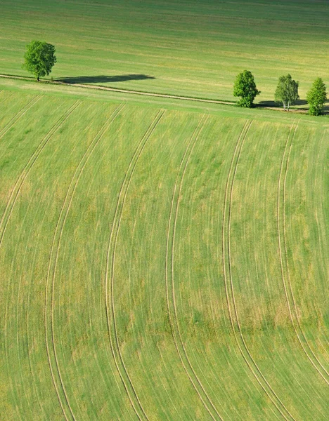 Vedere Aeriană Peisajului Rural Câmpuri Pajiști — Fotografie, imagine de stoc