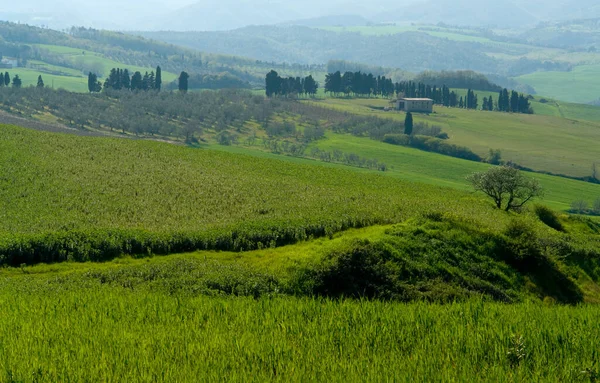 Campo Toscano Centro Italia — Foto de Stock