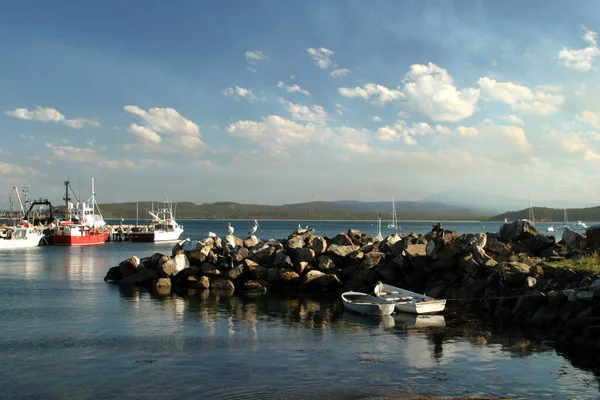 Scenic View Beautiful Harbor — Stock Photo, Image